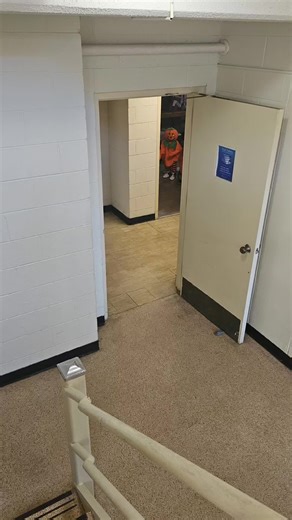 hunny bee🐝 ꩜ (@niftybee)’s videos with original sound - trapceleb