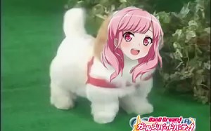 [小课堂]大概是目前最靠谱的安卓投屏直播教程