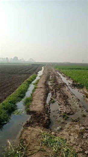 The holy Quran speech