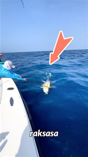GIANT FISH GOES INSANE! Fisherman DRAGGED Into the Ocean in Seconds! 😱🌊
