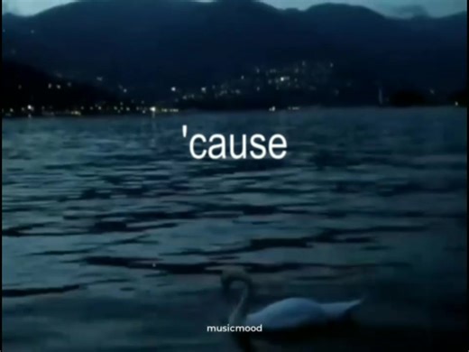 39K views · 1.1K reactions | the song "iris" | 홈홪홨홞환홢홤홤홙. | Facebook