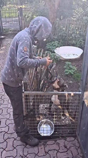 35K views · 2.8K reactions | Sie glauben, diese Geschichte ist frei...