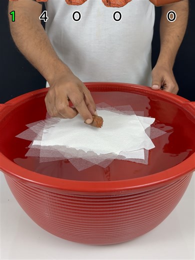 TRY TO GUESS HOW MANY TISSUE PAPER IT TOOKS! #experiment #asmr #satisfyingvideos #asmrvideo #asmrsatisfying #asmrtiktoks #science #scienceexperiment #water #waterexperiment #unitedstates #tissuepaper #stone