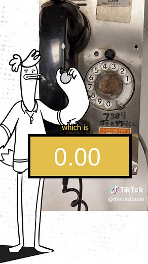 Area Codes Explained: Impact of Population on Dialing