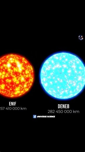 Solar System VS Largest Star Size Comparison #UniverseScience | Universe Science
