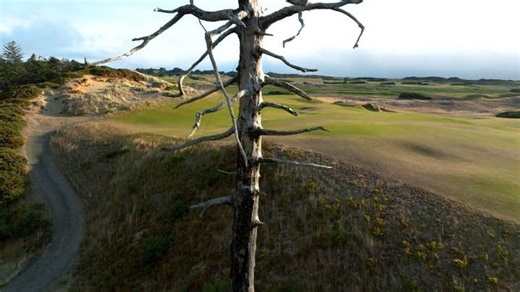 Golf Channel is bringing back a beloved show ... with a YouTube twist