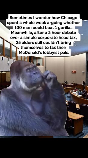 Spoiler alert: the corporations won the committee vote for now, but the budget isn’t final. Share and tag your alder to this reel and tell them to vote YES and tax the wealthiest corporations, not working families. | chicago.teacher.memes