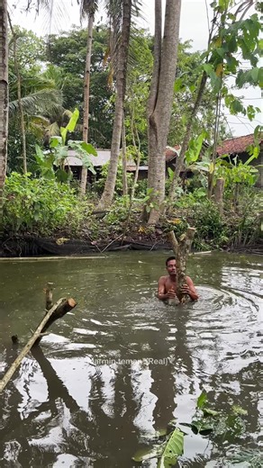 Pembuatan Rumah Panggung Marmin yang Keren