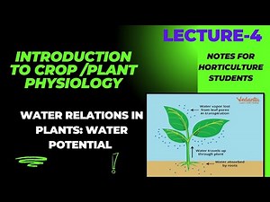 Lecture 4 Water Potential & its Components ||BSB-111|| CROP PHYSIOLOGY || || BSc|| ||MSc||