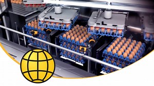 35 reactions | You want the most optimal egg loading, we know that. You want an efficient and reliable machine that gets the job done. Watch this video of the SANOVO OptiLoader and learn how we can turn your egg loading into a valuable business. | Sanovo Technology Group | Facebook