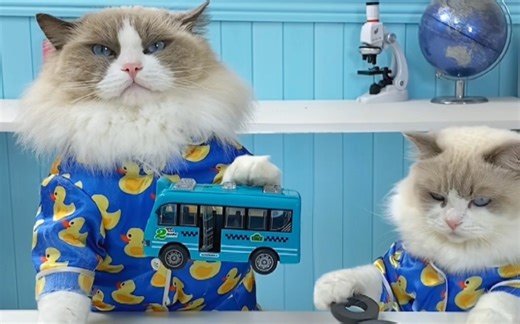 小Puff的磁铁玩具车已完成🐾