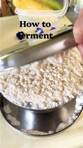 How to ferment, this is how it should look if done right
