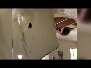 Ceiling collapses in family's apartment