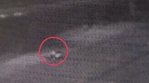 Video shows woman's body being dumped on Miami street