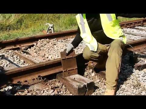 Components of the track system