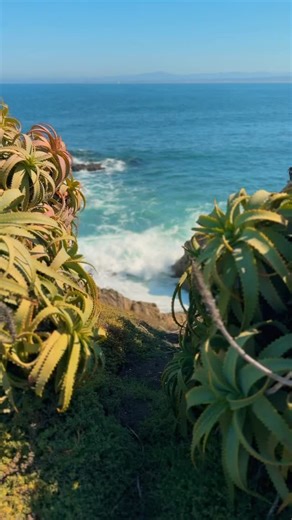 Beach day? In Pacific Grove, that’s every day. There’s no off-season on our shoreline, rain or shine, the views deliver. From beaches and tide pools to coastal trails and birdwatching, our coastline is one of California’s true gems. #PacificGrove #CaliforniaCoast #MontereyBay #ExploreCalifornia #CoastalViews TidePools ScenicTrails NatureEveryday | City of Pacific Grove