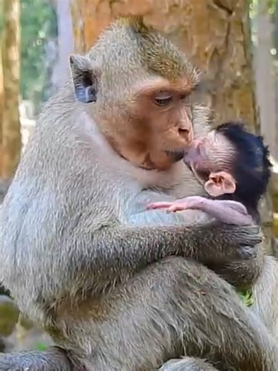 Mommy's Love for Baby: A Heartwarming Trend