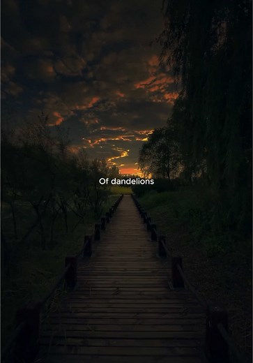 Exploring 'Dandelions' by Ruth B: Lyrics and Meaning