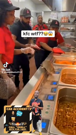 Rat jumps into hott grease on the stove at KFC restaurant ‼️👀 #kfc #rat #jumps #into #hot #grease #restrurant | Odell Barnum