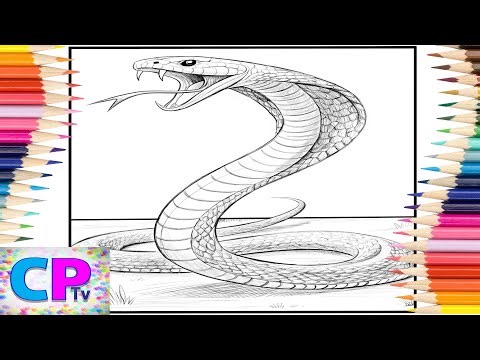 The Cobra and its Venomous Teeth/One of the Most Venomous Snakes/Creative Drawing/Coloring Process