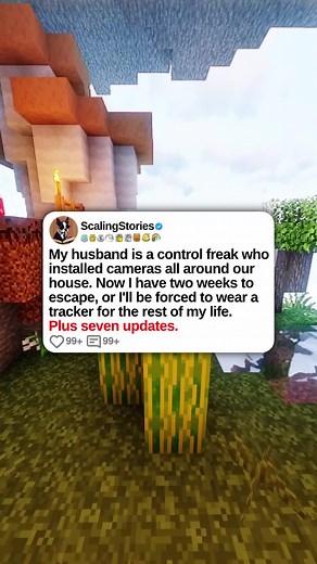 Escaping My Control Freak Husband: A Minecraft Parkour Story