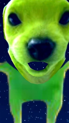 #Alien#Dog#Trend#