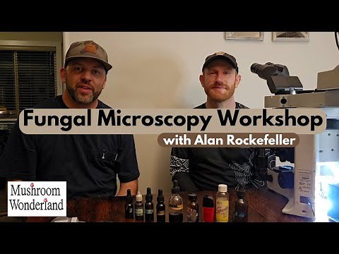 Fungal Microscopy Workshop with Alan Rockefeller- How to look at a mushroom in a microscope