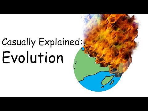 Casually Explained: Evolution