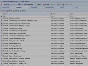 Overview of Genesys Configuration Options