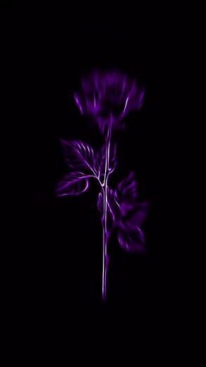 Flash Warning Video Compilation