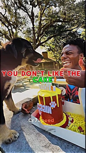 🎉IShowSpeed’s Dog Turns 2—YOU Won’t Believe His Reaction!🐕 #ishowspeed #viral #shorts #ishowspeeddog