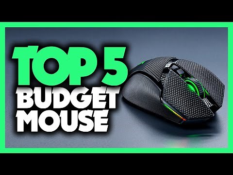 Best Budget Gaming Mouse in 2020 [5 Picks For FPS/MMO/RPG Gaming]