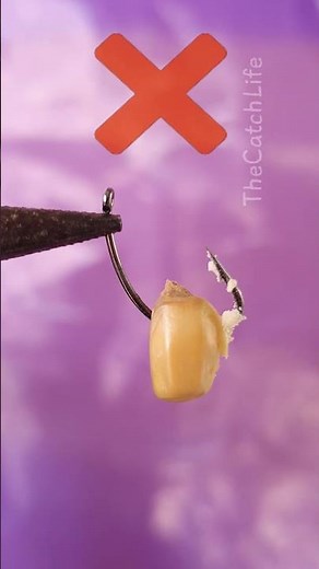 You’re baiting corn WRONG! 🌽❌ Do this instead!