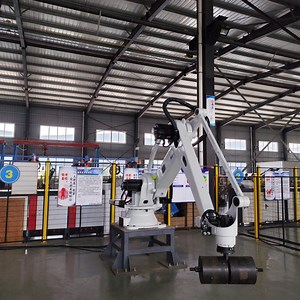 [Hot Item] The Most Advanced Intelligent Palletizing Industrial Robot Is Used in The Production Line