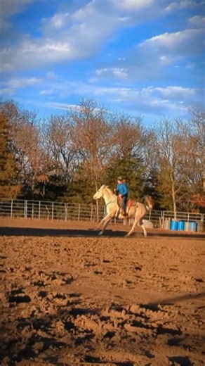 lead change 🤩 M17 @CollectHorsemanship