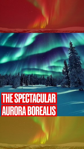 Watch: Full spectrum of northern lights illuminates night skies over Russia . . . . . #northernlight #auroraborealis #russia | Republic