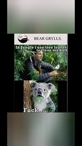 Memes only Legend will find funny || 556 || legend memes || cl...