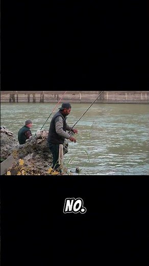 Top 10 Mind-Blowing Facts About Fishing You Never Knew! | Forever Facts