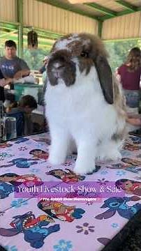 Youth Livestock Sale & Show 2026|| Cass County Fair in Pleasant Hill, MO (Part 1)