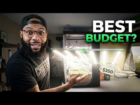 Is This the Best Budget Full Spectrum Grow Light? CeresLux 820W First Look