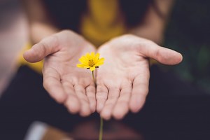 8 Teaching Wellbeing Resources - Twinkl