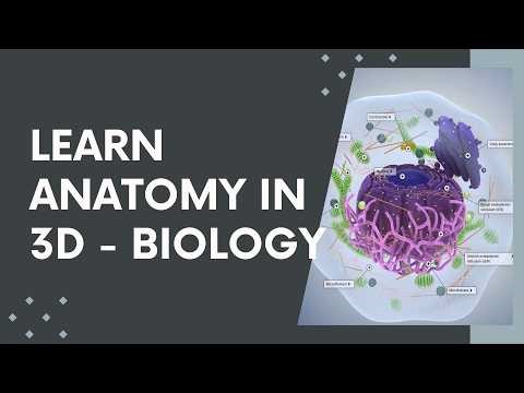 3D Human Anatomy Explained | Best Free Tool for Medical Students (2026)