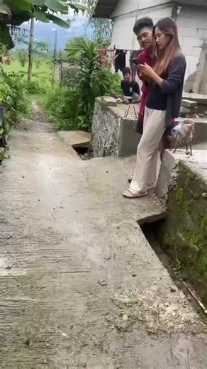 Exploring the Magic of BalliBotMogis