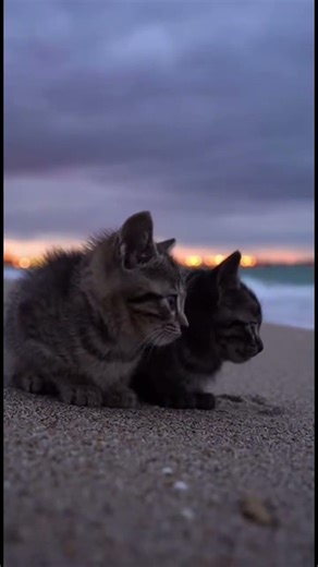 Un momento de calma frente al mar