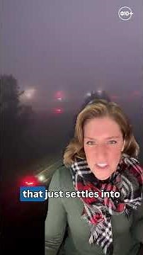 CHECK IT OUT! | Tule fog drone video