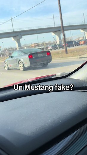 Mustang Mysteries: ¿Qué significa 'Salina'?