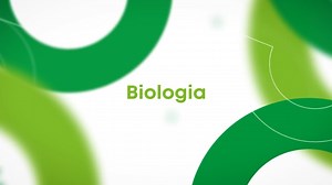 Classificação biológica: sistemática filogenética