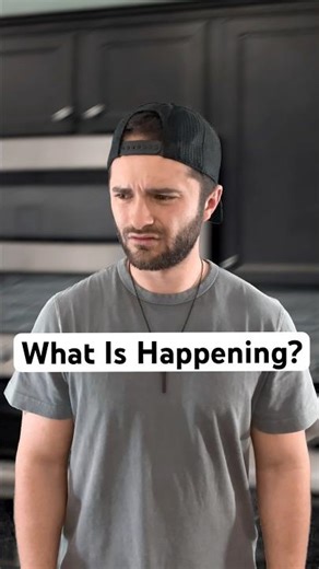 Never Pet Sitting Again. #pet #funny #cat #monkey #dog #reels