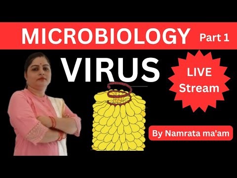 MICROBIOLOGY | STRUCTURE , CHARATERSTIC & CLASSIFICATION | class 11 & NEET BIOLOGY @NSbioworld