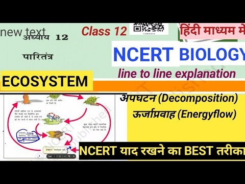 Ecosystem (पारितंत्र)//Decomposition/Energy flow//Ncert पढ़े अब हिंदी में//क्लास12//chap 12//🎯🔥💯